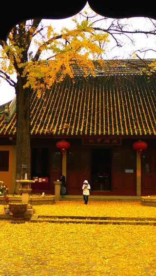 武漢貸切チャーター｜黄鶴楼・晴川閣・帰元禅寺・江漢路・武漢二河ツアー(長江ナイトツアー) 1日満喫ツアー