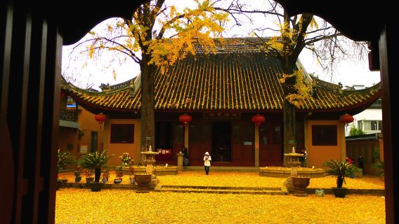 Wuhan sewa kendaraan pribadi | Tur satu hari menyenangkan ke Menara Bangau Kuning, Paviliun Qingchuan, Kuil Guiyuan, Jalan Jianghan, dan wisata malam dua sungai