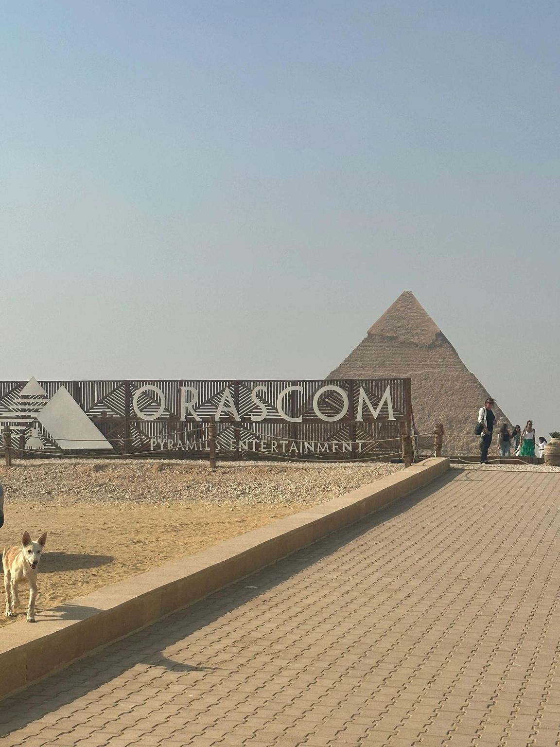 9 Pyramids Lounge booking service, private charter in Cairo city, airport pick-up, and customized itineraries across Egypt