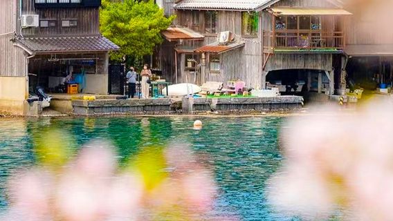 伊根町日遊
