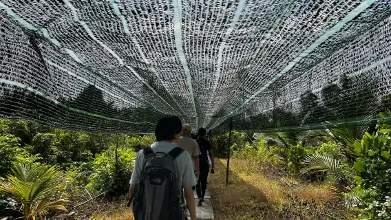 湄公河三角洲一日多日遊(含英文/中文/日文導遊)