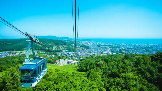 小樽 <> 新千歲機場 直達巴士電子票