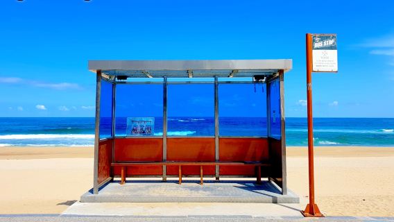 Taxi du lịch Gangwon-do (Gangneung, Chuncheon, Sokcho) dành cho người nước ngoài | Thuê xe 3 giờ