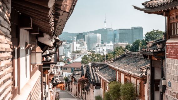 Prenota dopo la consultazione/Seoul, Porta Gwanghwamun, Casa Blu, Samcheong-dong, Palazzo Gyeongbokgung, Myeong-dong, Università Hongik, Torre di Seoul/Aeroporto/Trasporto punto a punto/Guida turistica e autista/Servizio auto privata