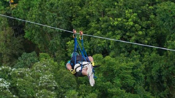 Puerto Rico: Toro Verde Adventure Park - La tirolesa del monstruo