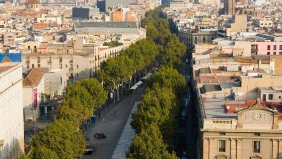 Barcelona:Private Full-Day Sightseeing Tour with Local Guide