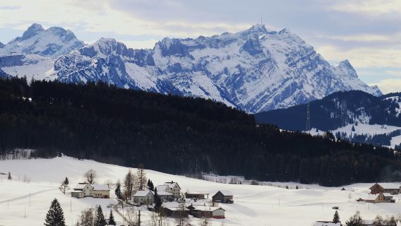 挪威特羅姆瑟+Senja島一日遊【全境定制行程｜中文司導】