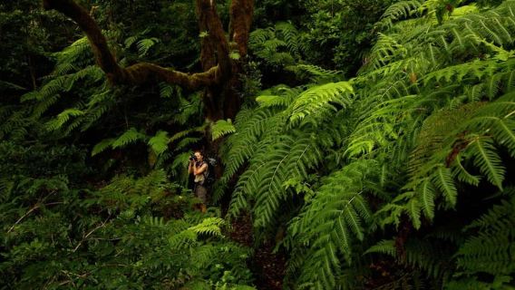 Tenerife: Anaga and La Laguna VIP Tour