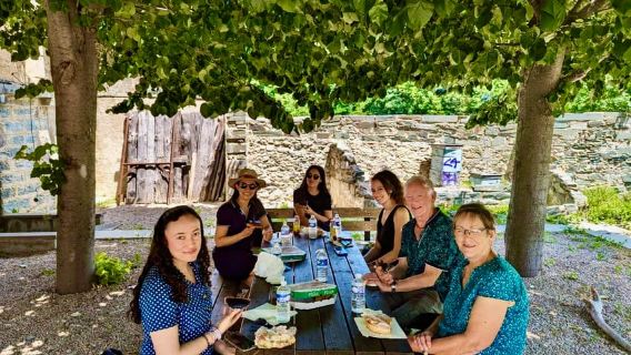 Da Nizza: viaggio in treno storico e villaggi alpini