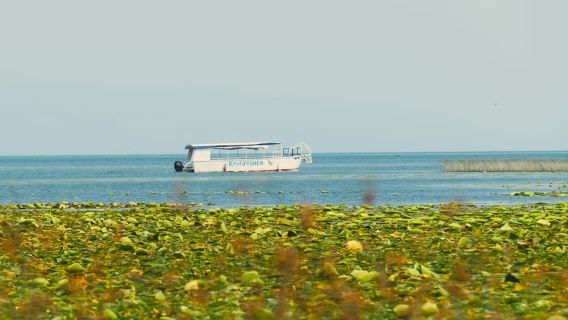 Short Skadar Lake Boat Tour to Morača River with Drinks