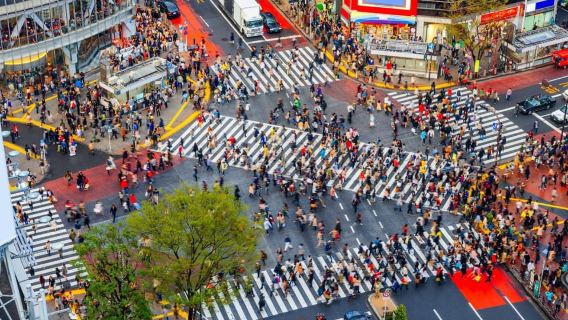 Tokyo: Tour nửa ngày buổi chiều cho nhóm nhỏ