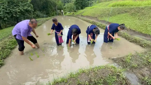 梅沙山谷農場住宿度假村 - 有機農場沉浸體驗 半日/全日農場生活探索