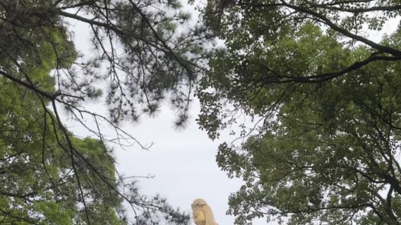 舟山普陀山風景區一日遊【最多9人小團】全程導遊陪同導覽