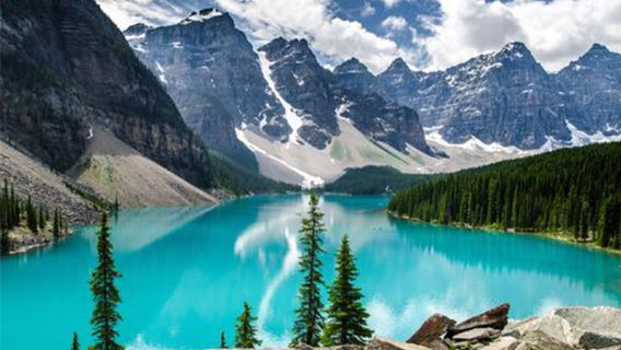 Canada Banff Johnston Canyon + Sulphur Mountain cable car 1-day tour [Canyon hike · Panoramic cable car]