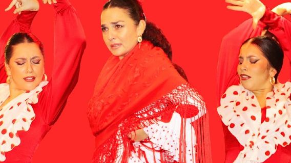 Seville:Exclusive FlamencoShow with Drink, VIP, or Dinner Options