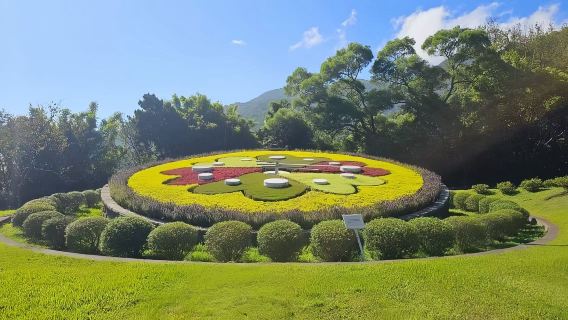 Partenza da Taipei | Tour notturno di gruppo a Yangmingshan (include servizio di prenotazione)