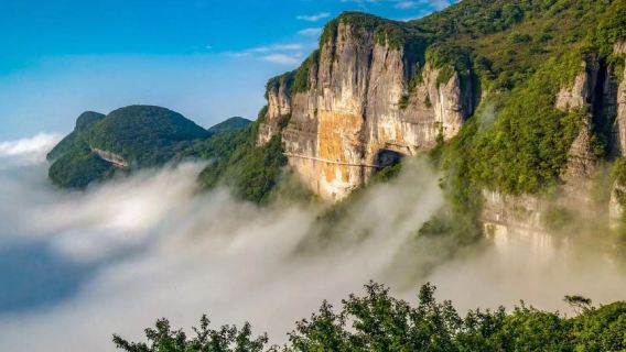 1-day Tour to Chongqing Nanchuan - Jinfo Mountain (English Guide Available)
