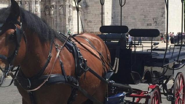 Lisbon: Horse-Drawn Carriage Ride in Belém