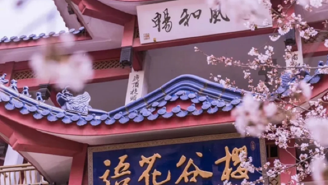 Wuxi Nianhua Bay + Tai Hu Yuantouzhu Scenic Spot 1-day Tour