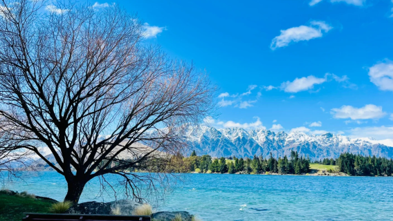 Queenstown, New Zealand: Queenstown Gardens + St Peter's Anglican Church + Skyline Cable Car Day Tour