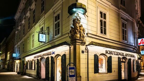 維也納-林茨老城 + 多瑙河藝術長廊遊