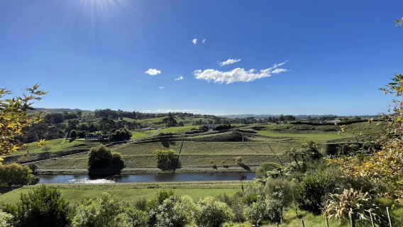 紐西蘭奧克蘭-霍比特村+藍泉一日遊【中文專車-愜意舒適】