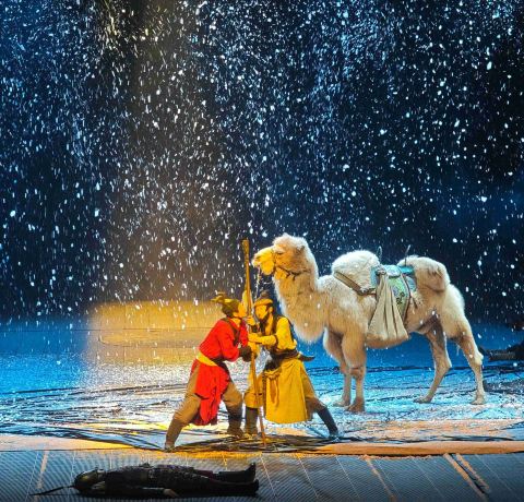 西安「駝鈴の伝奇ショー」：360°没入型体験、シルクロードを旅する