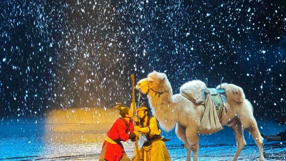 Xi'an "La Leggenda dei Cammelli": un'esperienza immersiva a 360°, un banchetto audiovisivo lungo la Via della Seta