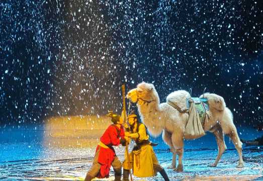 0350e12000qkp933q9973_C_960_66