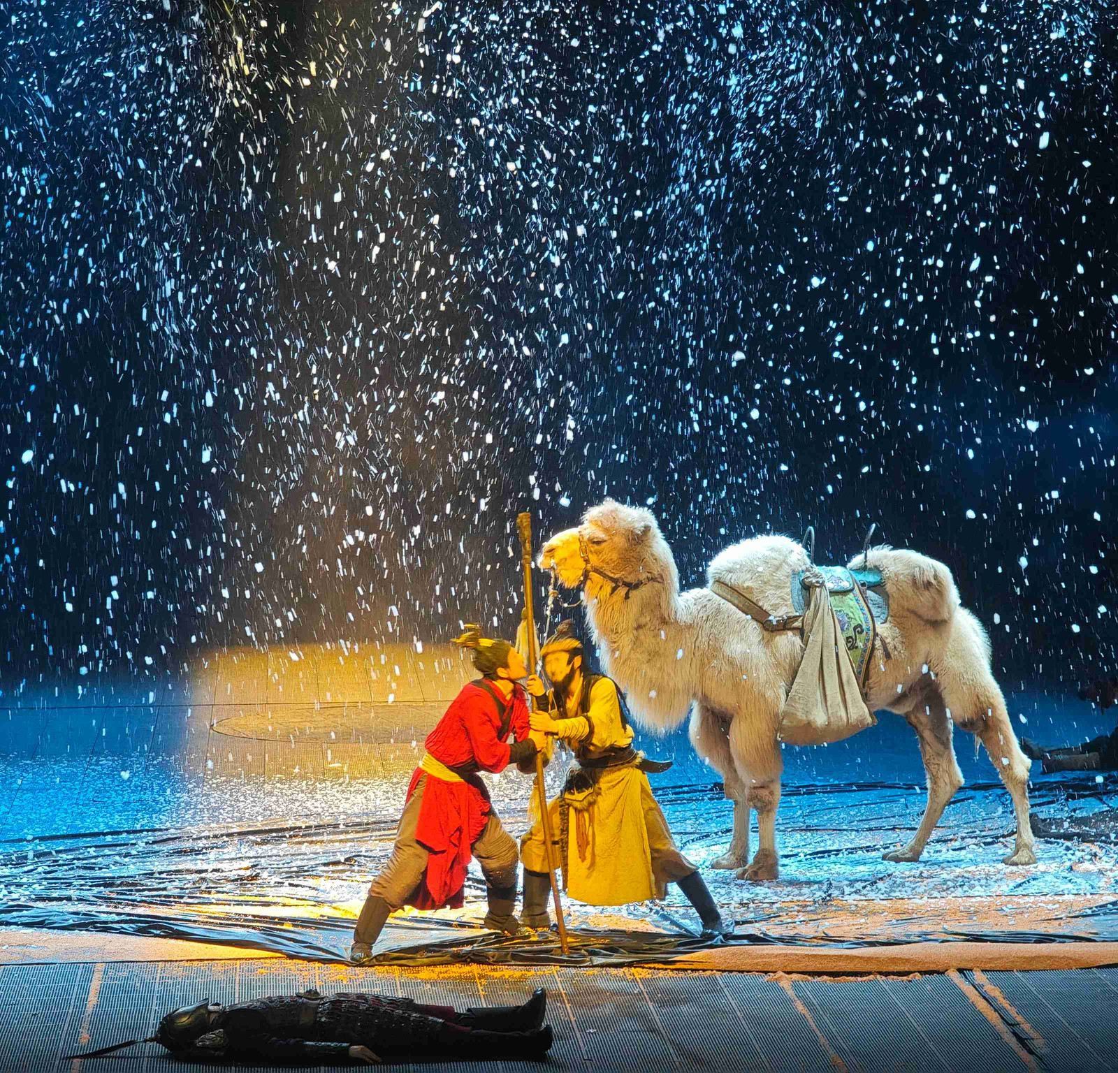 Xi'an "Camel Bell Legend" Show: A 360° Immersive Experience, a Visual and Auditory Feast Traveling Through the Silk Road