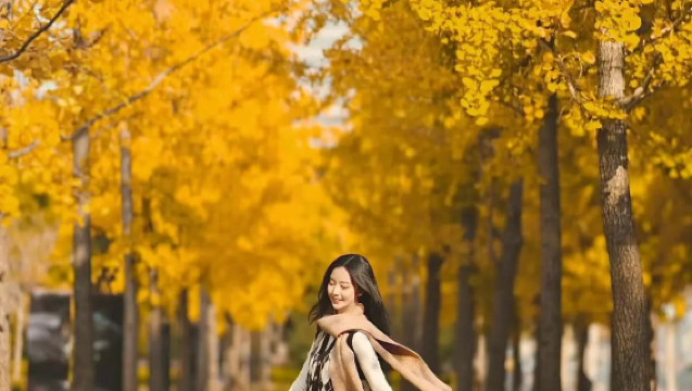 This is the right way to explore Tengchong! Private charter for a day to visit volcanoes, hot springs, and Heshun, with perfect photo spots