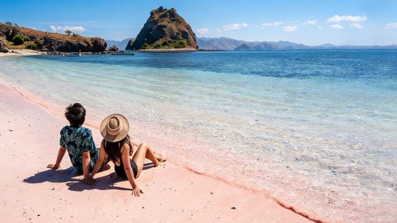 Indonesischer Tagesausflug zur Insel Komodo mit Bootsfahrt [Hoteltransfer | Rosa Strand / Komodo-Warane]