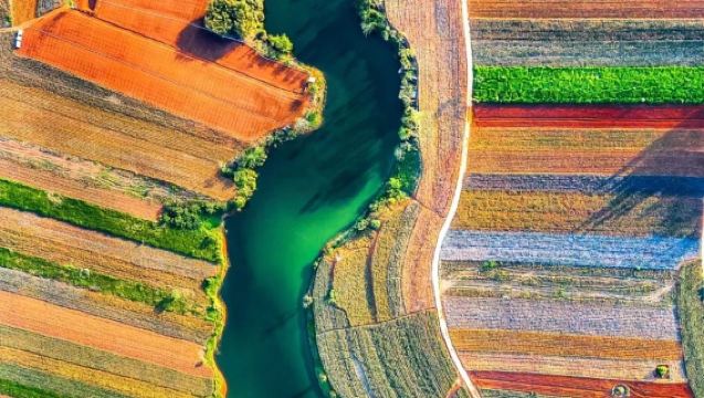 1-day tour to Zhanjiang and Xuwen with pineapple sea + South Pole Village + confluence line + salt fields · no guide