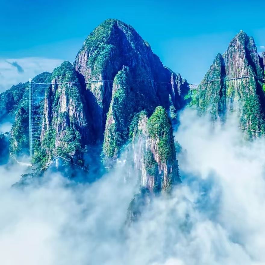 莽山一日遊2-8人小團（含門票+纜車+景區接駁車+小車接駁）