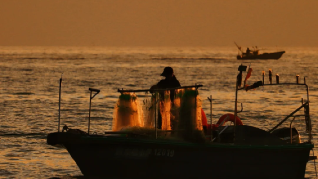 Huizhou Xunliao Bay + Mozishi Park + Shuangyue Bay + Sea Turtle Bay [Private Tour with Driver-Guide]