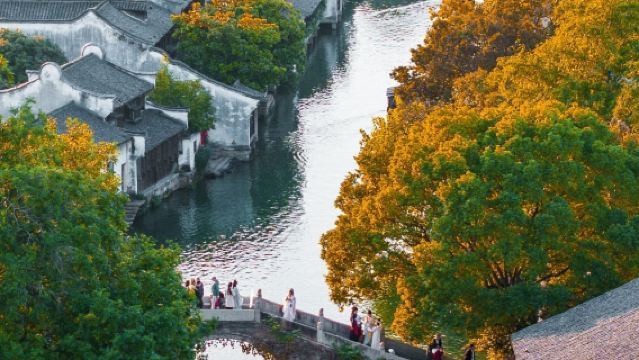 烏鎮水鄉東西柵純玩一日遊【江南水鄉  安心出行】