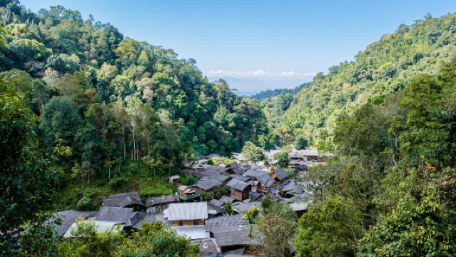 Chiang Mai: Wanderungen auf den Waldpfaden von Mae Kampong und dem Chaesorn Nationalpark
