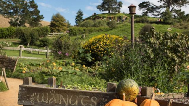 ทัวร์หมู่บ้านฮอบบิท + ถ้ำหิ่งห้อยไวโทโมในนิวซีแลนด์ (รวมตั๋วเข้าและอาหารกลางวัน)