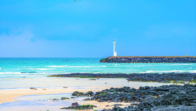 【彈性小團】濟州小羊肖恩+山茶花之丘+涯月海岸路一日遊