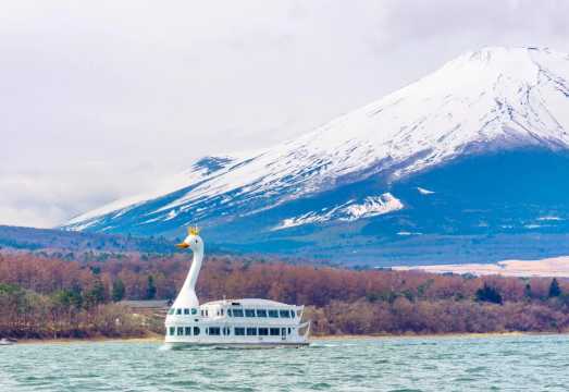 [Group of 1-9] 1-day Tour from Tokyo to Mount Fuji: Swan Boat/KabaBus Experience!