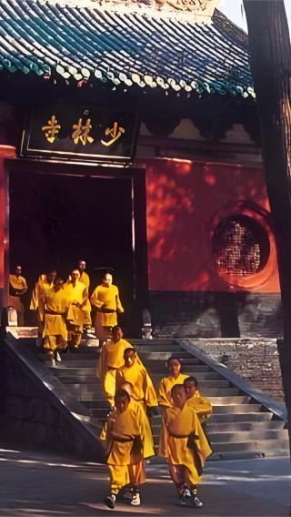 [Luoyang Peony Season] Shaolin Temple & Wangcheng Park 1-Day Private Tour