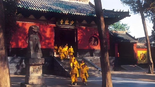 [Luoyang Peony Season] Shaolin Temple & Wangcheng Park 1-Day Private Tour