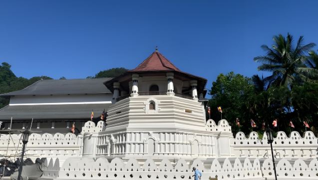 ตลาดปลาเนกอมโบ + สถานสงเคราะห์ช้าง + วัดพระเขี้ยวแก้ว + ทะเลสาบแคนดี้ ศรีลังกา | สามารถเหมารถได้ตามความต้องการ