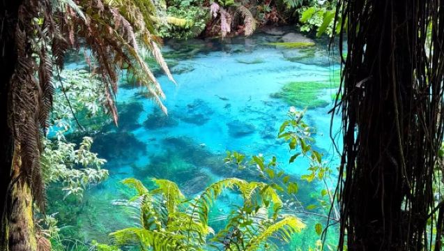 Auckland pergi-balik: Lawatan sehari dalam bahasa Cina ke Hobbiton + Blue Spring [pakej pilihan, tidak termasuk tiket masuk]