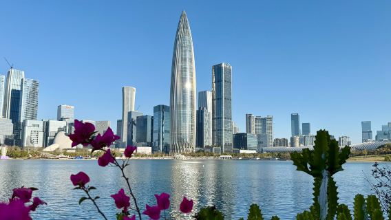 [Tullpasseringsservice i Shenzhen] Privatbilstransfer mellan Shenzhen och Hongkong ◉ Transfer från Shenzhen till hotell i Causeway Bay, Hongkong | Toyota Alphard med dubbelregistrering + passage via Shenzhen Bay/Huanggang-gränsposten + bekväm tullpassering