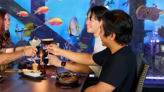 夕暮れ時のケアンズ水族館とディナー