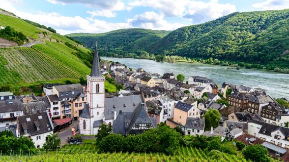 Jerman Heidelberg Pergi-Balik: Rüdesheim + Bandar Lama Bingen + Sungai Rhine dengan Sewaan Peribadi Bahasa Cina [Boleh Disesuaikan]