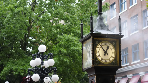 Chinese private charter tour - Gastown + UBC rose garden (on campus) + Granville Island city tour