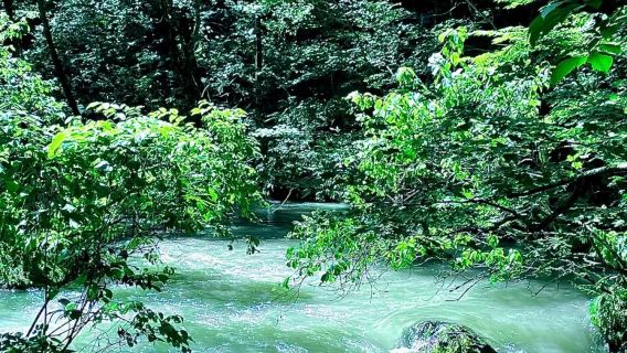 青森奧入瀨溪流+八甲山+十和田湖包車遊—中文司機/行程可調