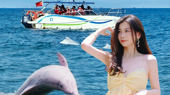 Lawatan Sehari Mengejar Lumba-lumba di Teluk Sanniang Qinzhou + Jalan Lama Qinzhou [Kumpulan Kecil 8 Orang | Pergi-balik Nanning]